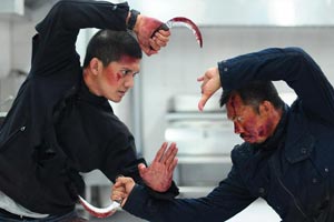 The Raid 2