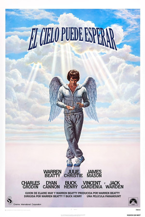 El cielo puede esperar