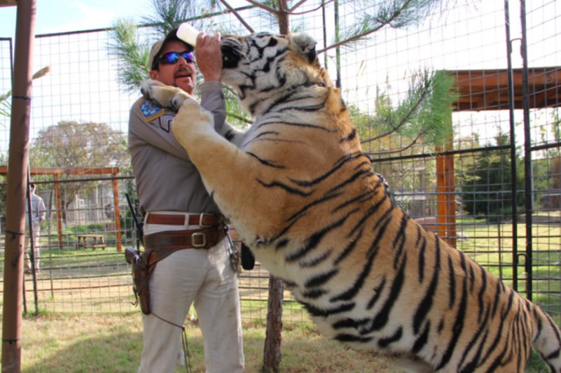 La pandemia lleva a Netflix hasta los 183 millones de suscriptores