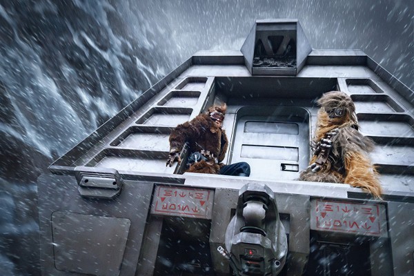 Chewbacca 19.29.57