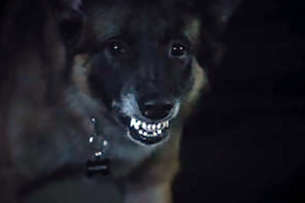 perro darkness rising