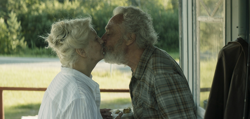 Ilpleuvaitdesoiseaux 1