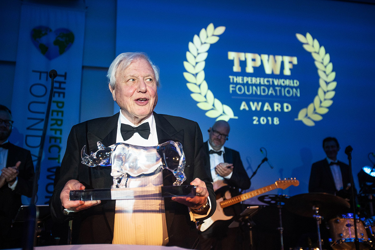 El naturalista David Attenborough cumple 100 años