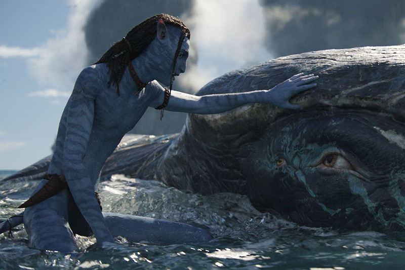 "Avatar: El sentido del agua" sigue a su aire