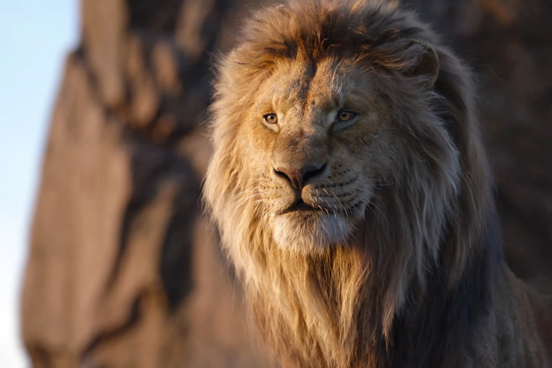 "Mufasa: El rey león" por sexta semana