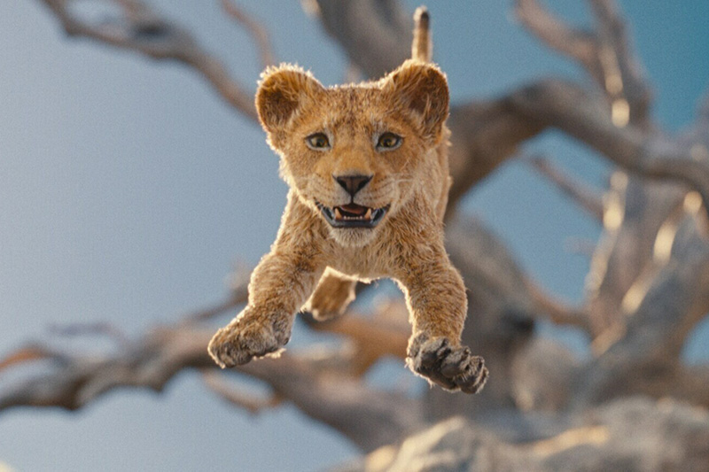 "Mufasa: El rey león", a la tercera va la vencida