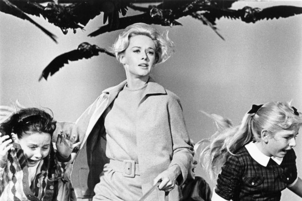 BBC prepara una serie basada en la película “Los pájaros”, de Hitchcock