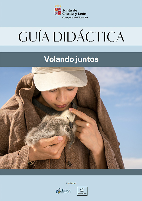 Guía