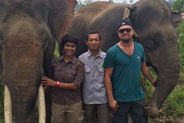 Leonardo DiCaprio defiende a los elefantes de Sumatra