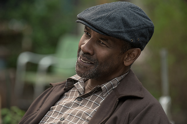 fences primer plano