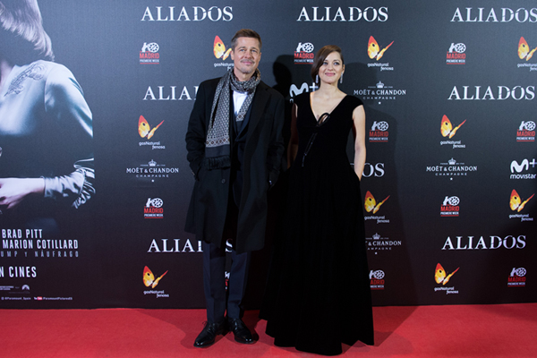 brad pitt marion cotillard
