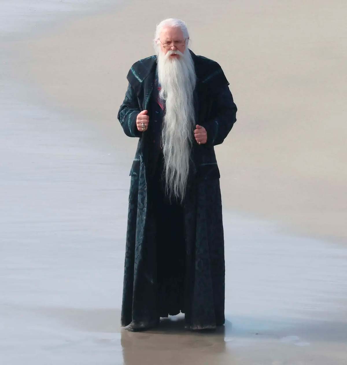 Dumbledore tiene nuevo rostro