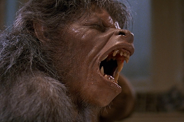 En marcha un remake de “Un hombre lobo americano en Londres” dirigido por el hijo de John Landis