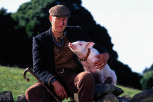 La rebelión del granjero de "Babe, el cerdito valiente"