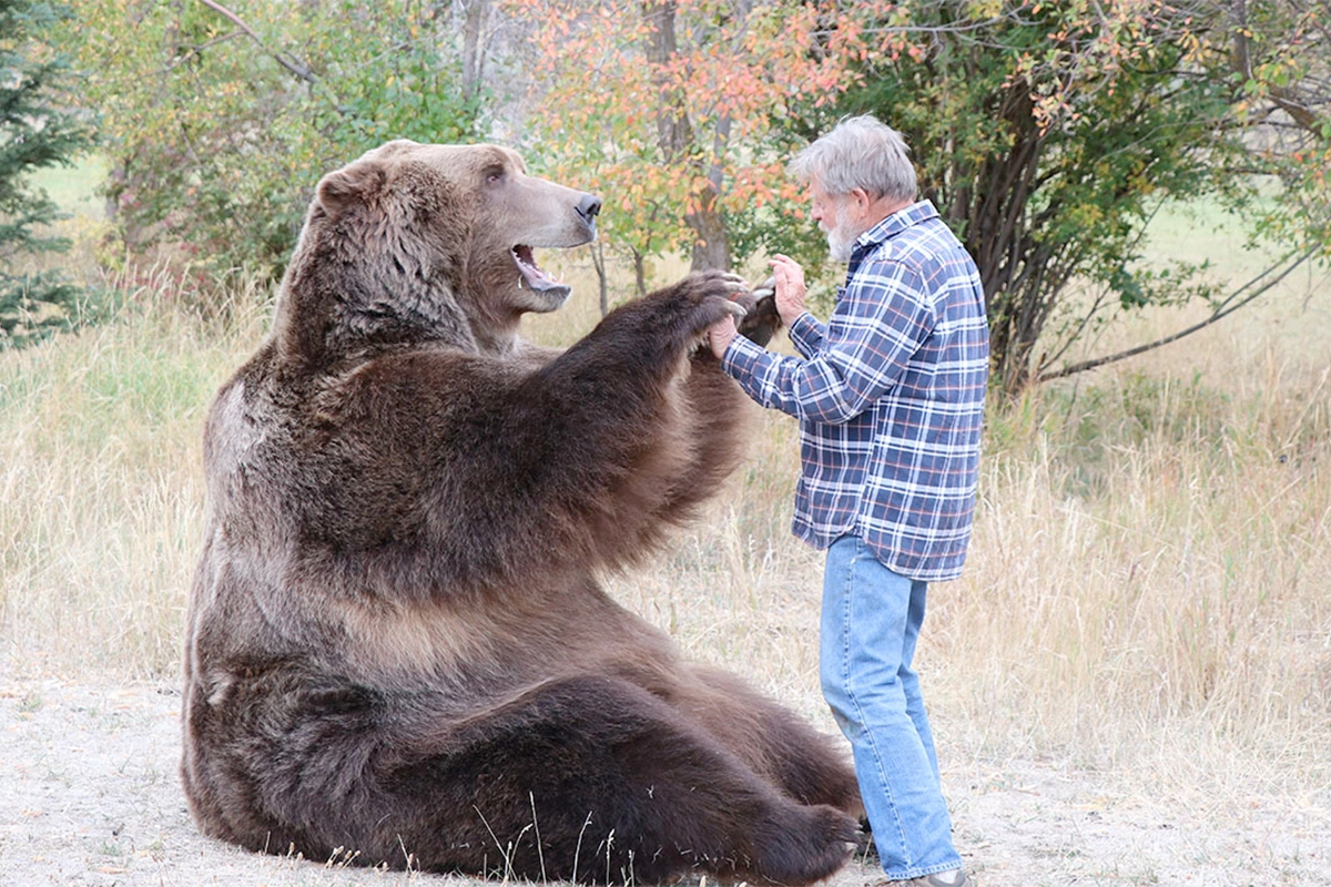 Imagen de "Juego de tronos"