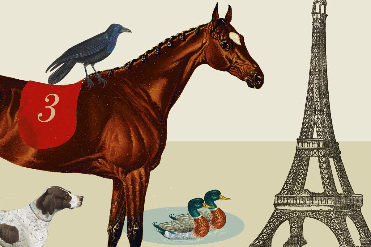 Frank Marshall y Barry Sonnenfeld se alían en una película de animales animada