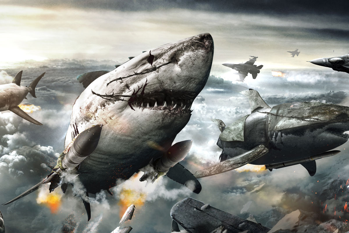 Muestra SyFy final