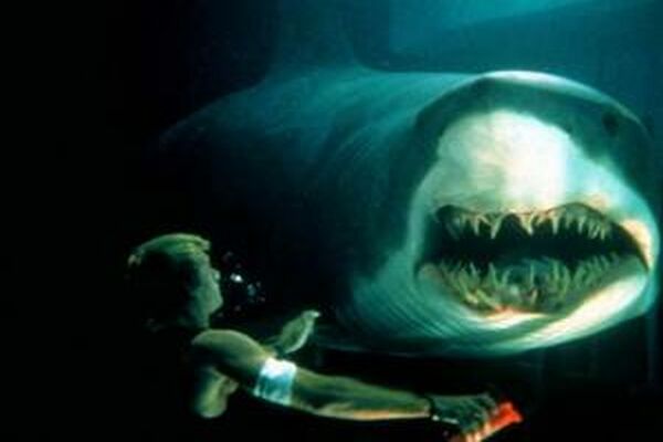Vuelven los tiburones de “Deep Blue See”