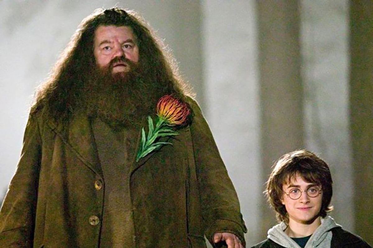 Harry Potter