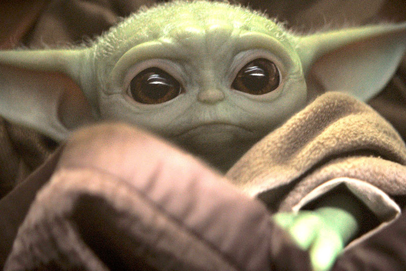 Se busca a los falsos Baby Yoda