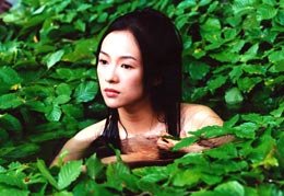 El sí ser de Zhang Ziyi
