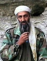 Bin Laden al cine