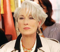 Mery Streep adopta un gato