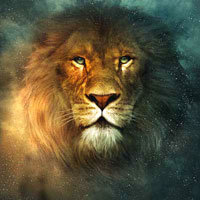 Fox se adentra en el territorio de Narnia