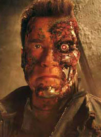 Terminator vs. Paparazzi
