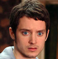 Elijah Wood, la vecina y un perro cruzado