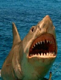 "Tiburón, la venganza", uno de los peores bodrios jamás filmados
