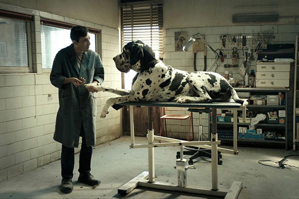 “Dogman”, la favorita en las nominaciones de los Oscar italianos, los David di Donatello