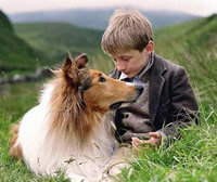 El dueño de 'Lassie' demanda a una empresa de créditos