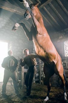Guillermo y Catalina, con “Caballo de batalla”