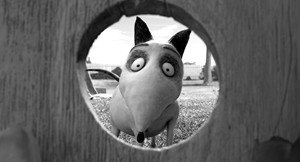 “Frankenweenie”: Tim Burton resucita al mismo perro