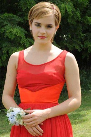 Emma Watson de nuevo en una saga fantástica con el productor de "Harry Potter"