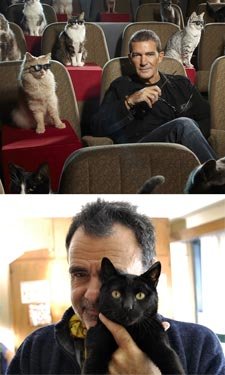 Gato rico (Banderas con botas), gato pobre (Sorín)