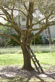 Música a ciegas, un desafío en "El árbol de la vida"