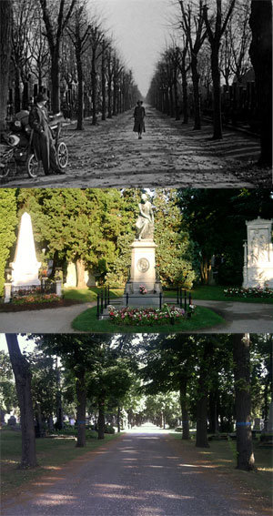 Viena, o la fascinación por la muerte