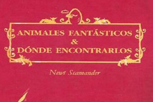 Warner recluta al responsable de los últimos filmes de Harry Potter para dirigir "Animales fantásticos y dónde encontrarlos"