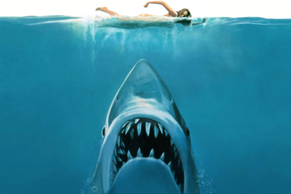 8 ataques de tiburones en Carolina del Norte, justo cuando cumple 40 años el "Tiburón" de Spielberg