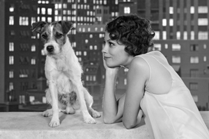 Muere el perro de "The Artist"