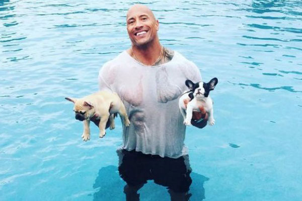 Dwayne Johnson rescata a sus dos mascotas bulldogs, que pudieron ahogarse en su piscina