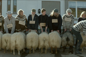 La islandesa "Rams, el valle de los carneros", Espiga de Oro en la Seminci