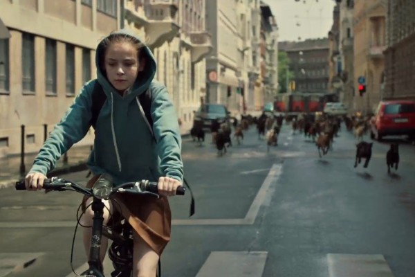 Estrenos findecine 19-21 de junio: Las películas que hay que ver