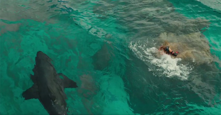 the shallows 33352 g13