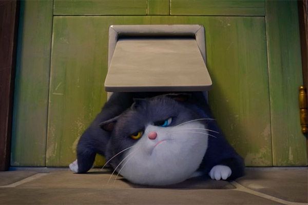 10 vidas foto crítica.