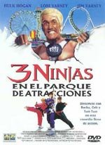 3 ninjas en el parque de atracciones