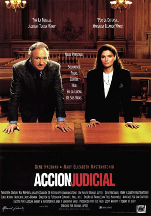 Acción judicial