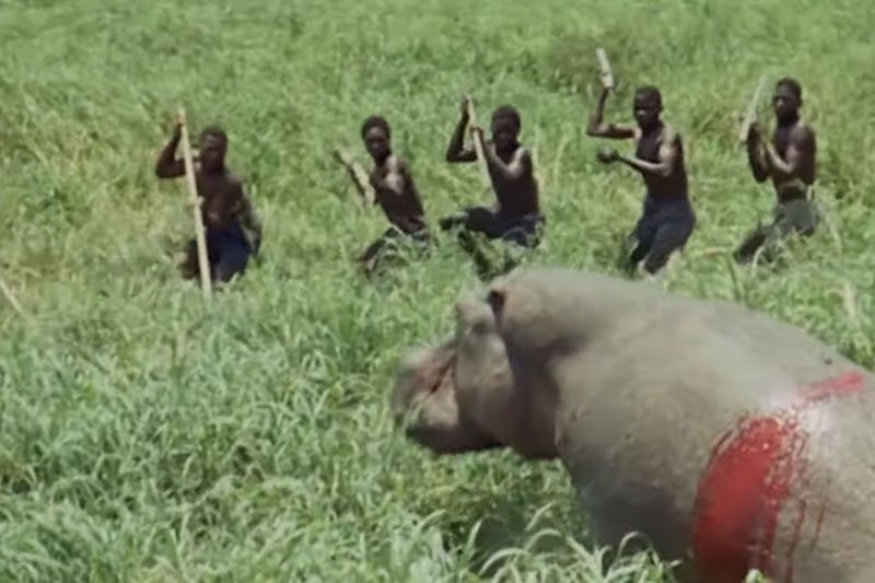 Adiós África foto crítica.